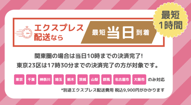 ソクピル エクスプレス配送時間
