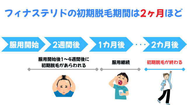フィナステリドの初期脱毛期間は2ヶ月ほど