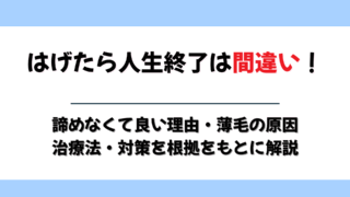 はげたら人生終了