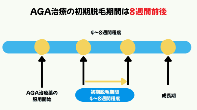 AGA治療の初期脱毛期間