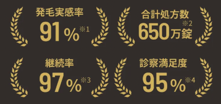 レバクリ 実績