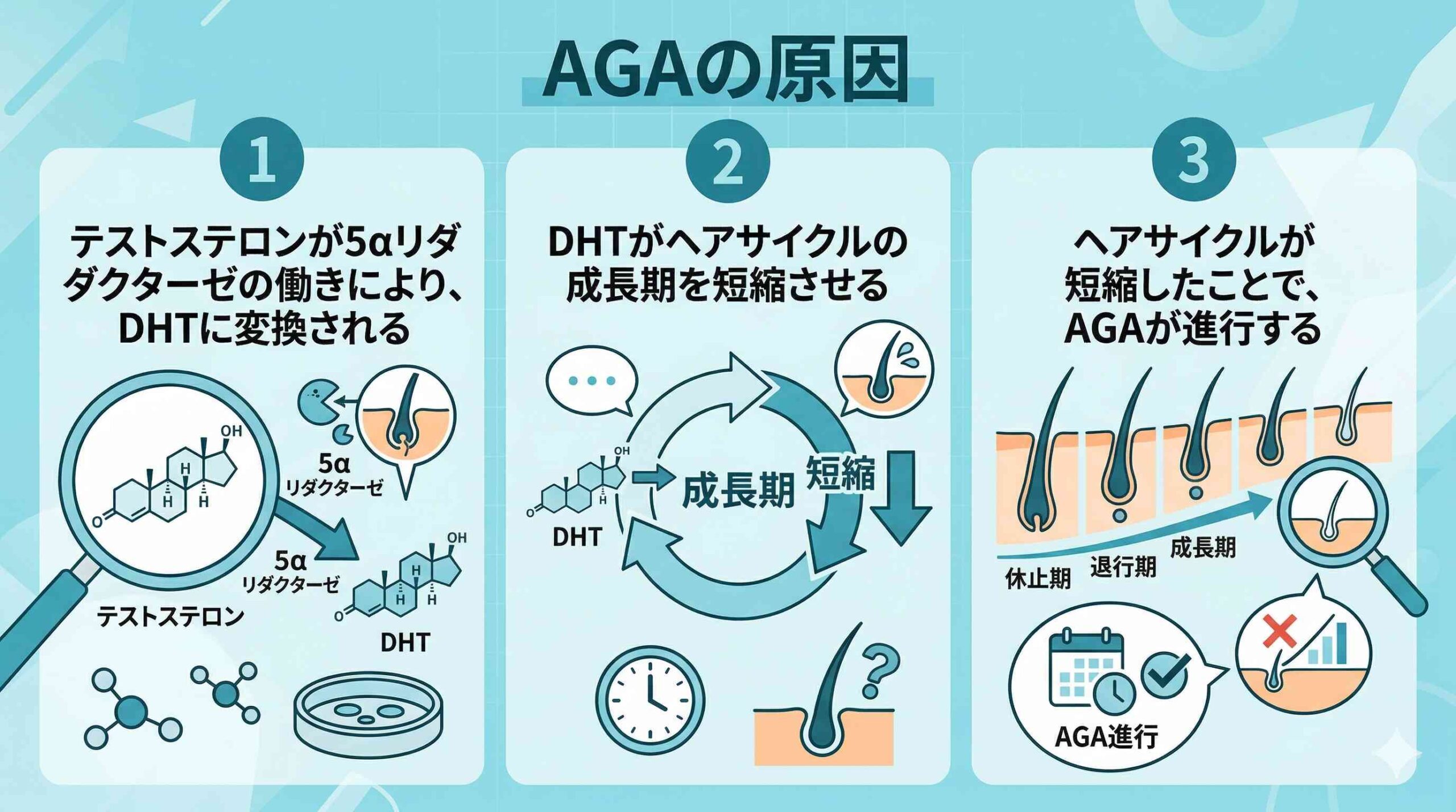 AGAの原因