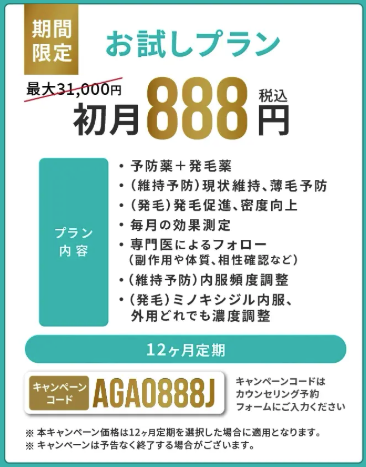 AGAヘアクリニック お試しプラン 治療内容
