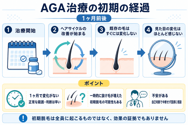 AGA治療の初期の経過