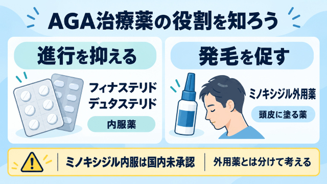 AGA治療薬の役割比較 図解