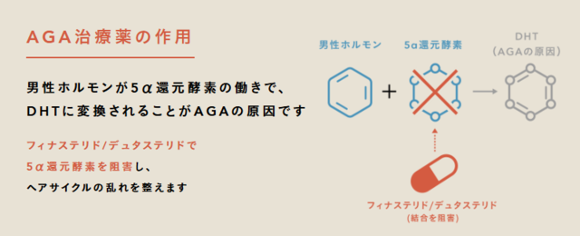 Oops_AGA治療薬の作用