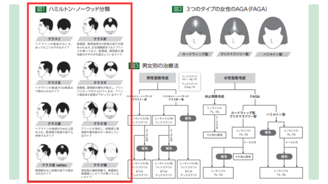 aga治療の進行程度による7段階の分類