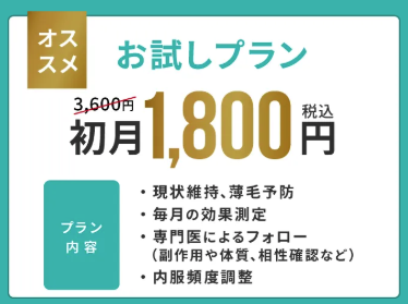 agaヘアクリニック お試しプラン
