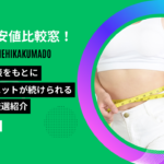 glp1 最安値比較窓