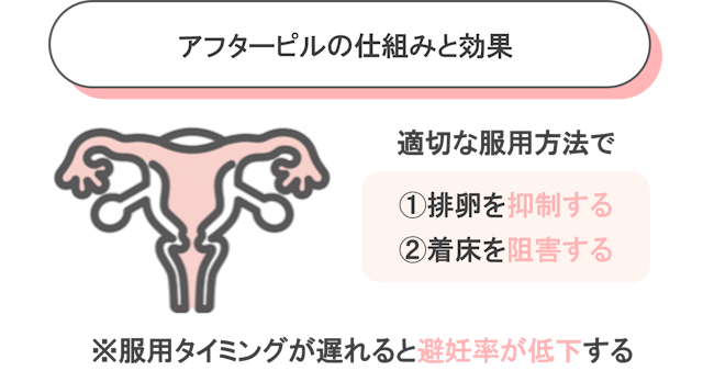 アフターピル 仕組みと効果