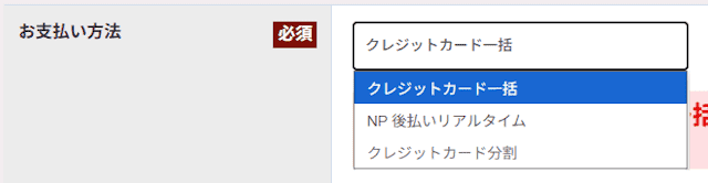 エニピルの特別割引キャンペーンの支払い方法