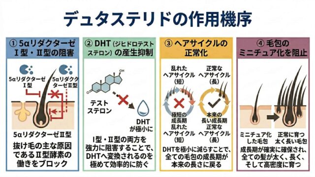 デュタステリドの作用機序