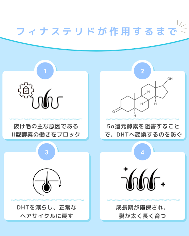 フィナステリドがDHTの生成を抑える仕組み