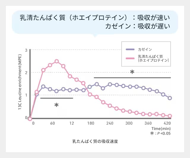 プロテイン 種類別 吸収