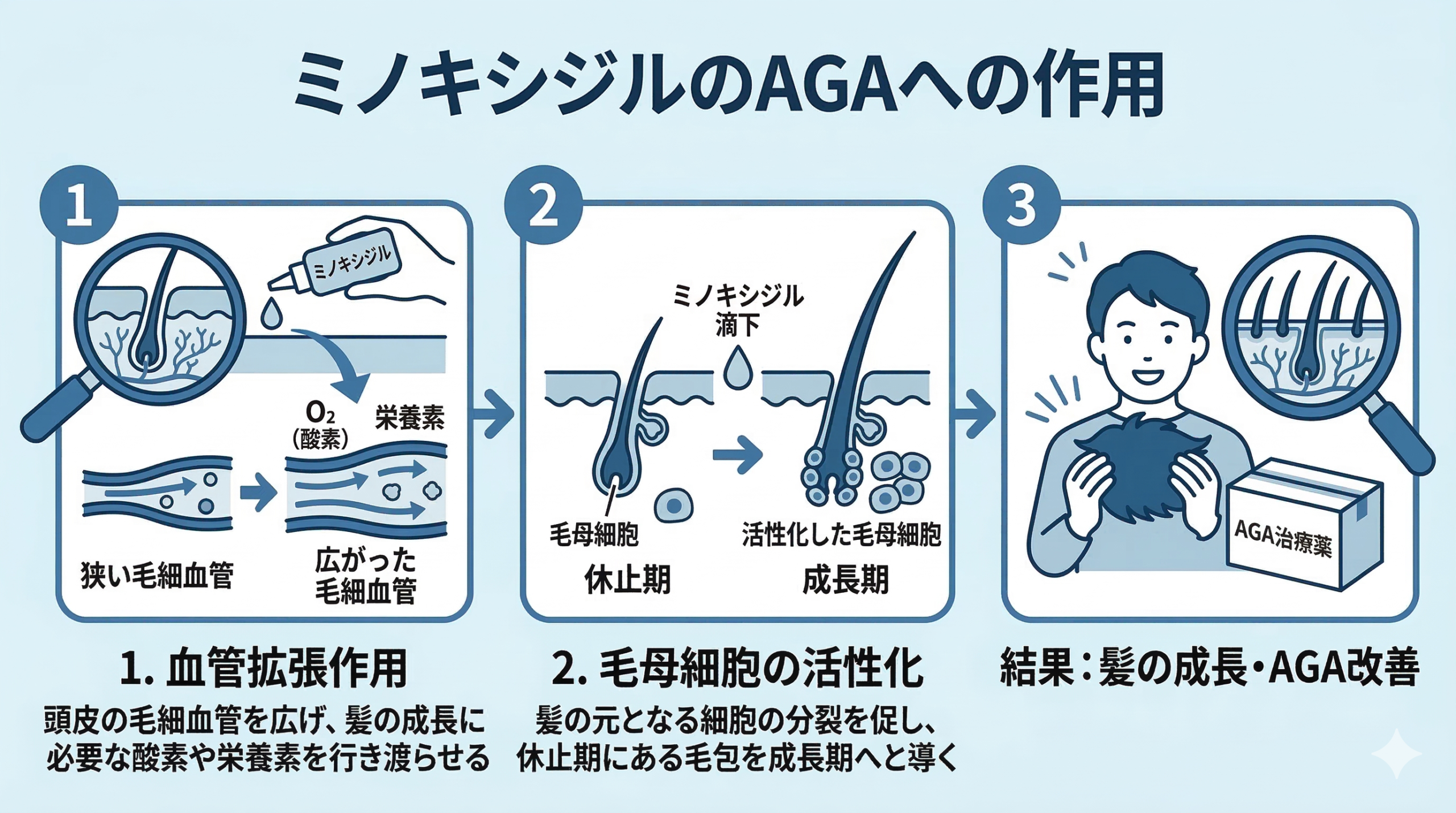 ミノキシジルのAGAへの作用