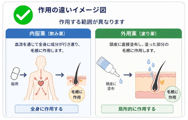 ミノキシジル内服・外用の作用の違い