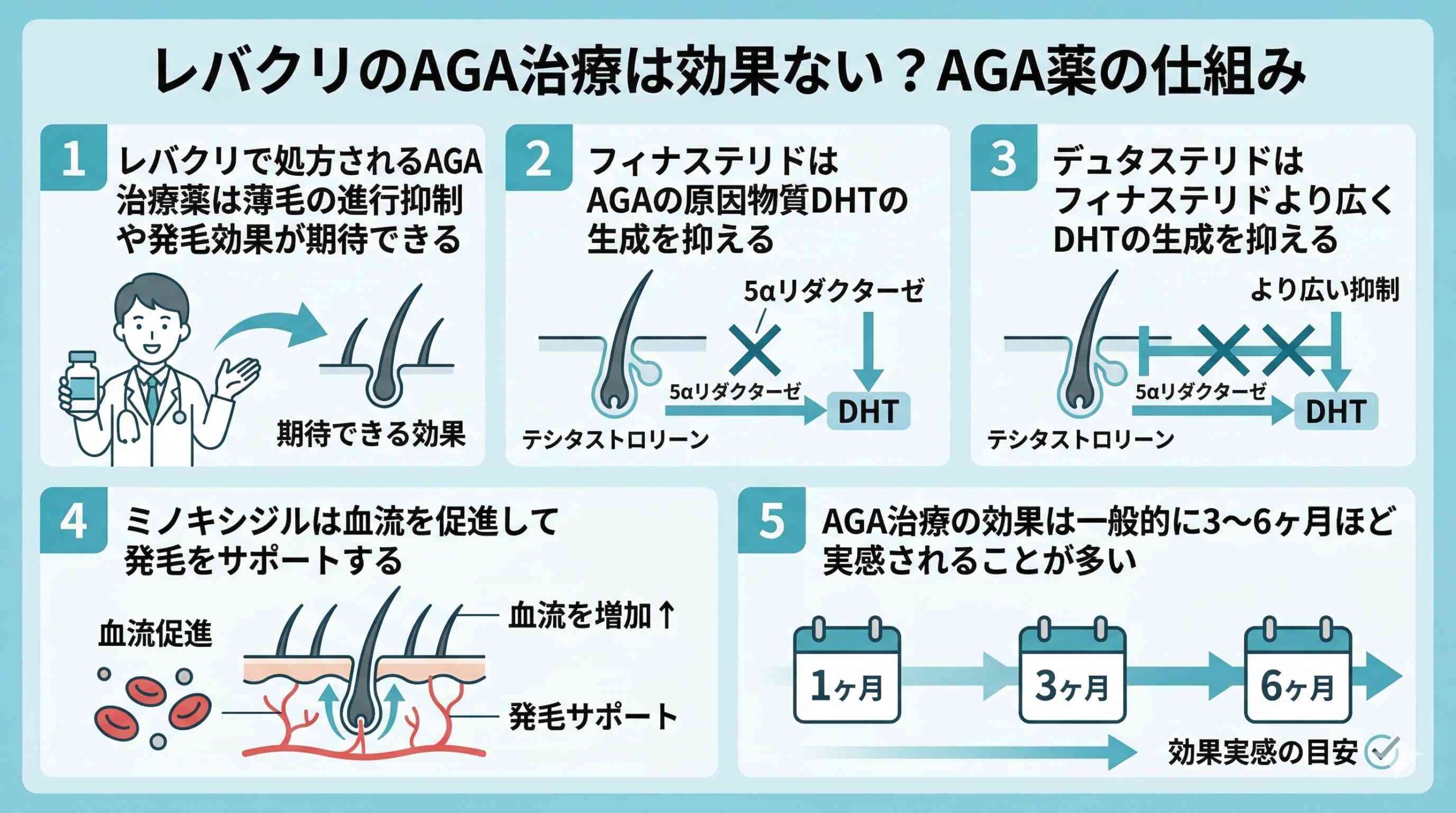 レバクリのAGA治療は効果ない?AGA薬の仕組み