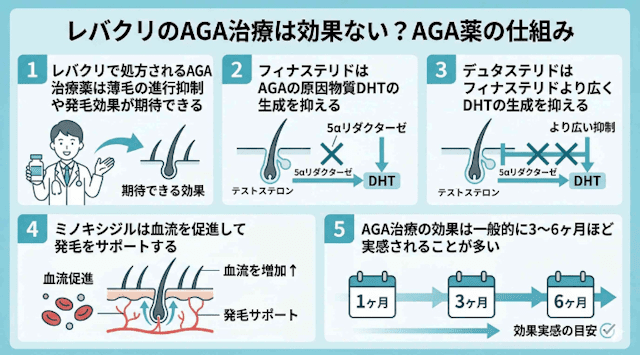 レバクリのAGA治療は効果ないAGA薬の仕組み