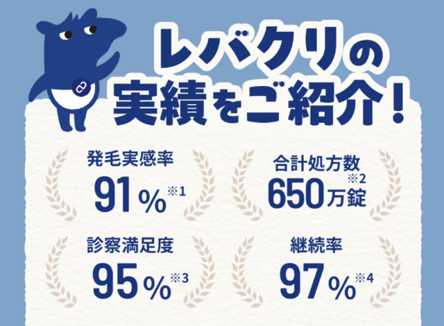 レバクリの実績
