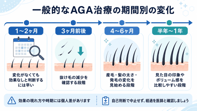 一般的なAGA治療の期間別の変化