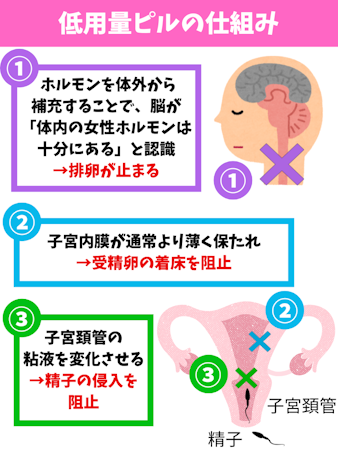 低用量ピル,生理,仕組み