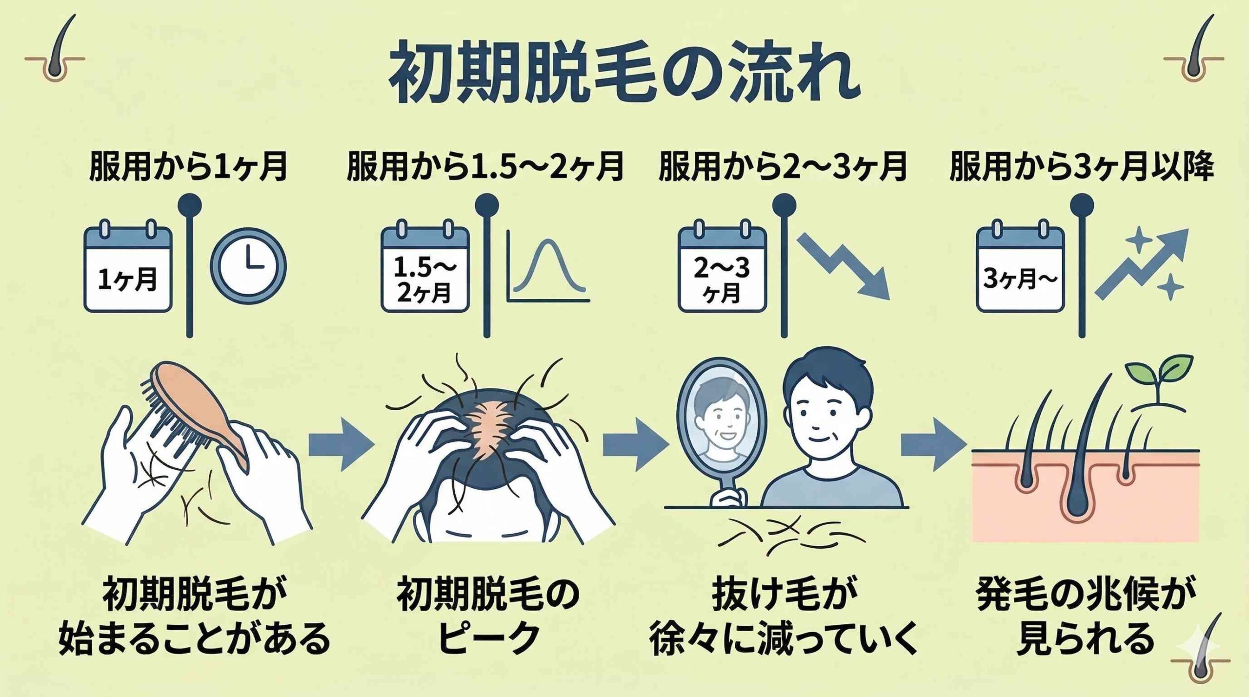 初期脱毛の流れ