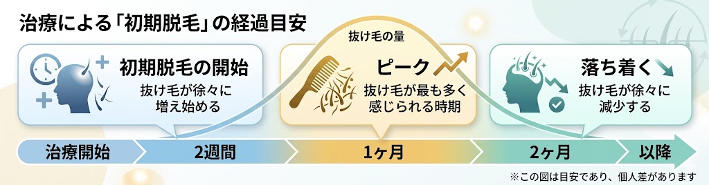 aga 初期脱毛 ひどい‗初期脱毛の経過目安