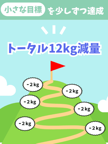 太りすぎて痩せ方が,分からない,小さな目標を達成