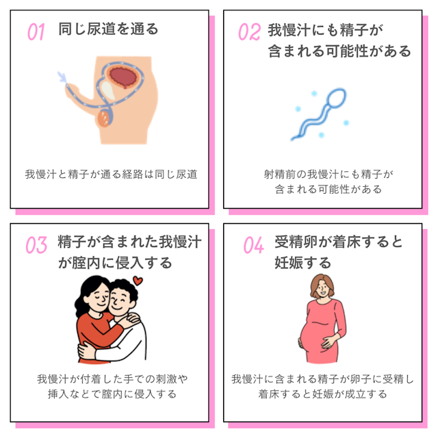 我慢汁　妊娠するまでの流れ