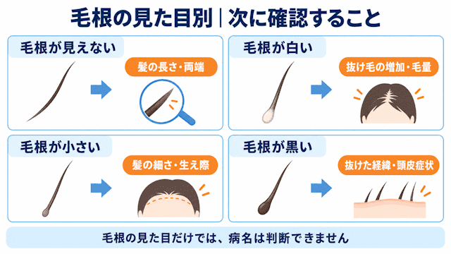 抜け毛でみる薄毛症状セルフチェック