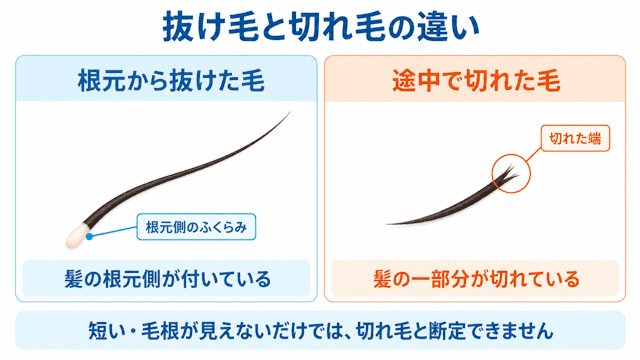 抜け毛と切れ毛の違い