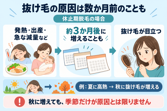 抜け毛は数か月前の影響の可能性がある 図解