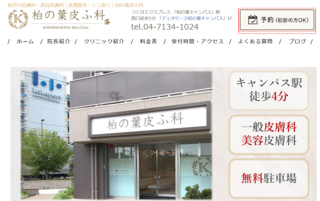 柏の葉皮ふ科