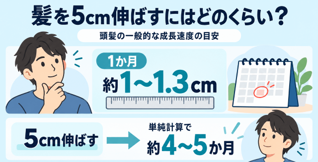 男性の髪は1か月に約1〜1.3cm伸びる 図解
