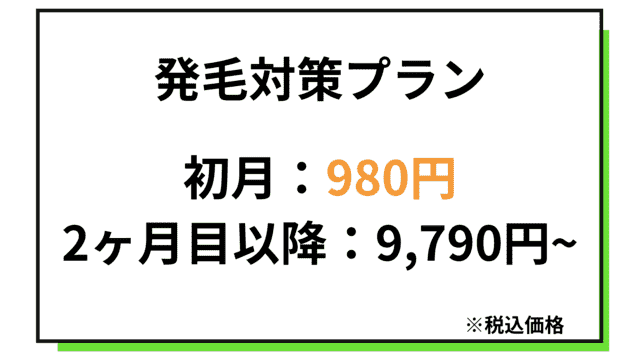 発毛対策プラン