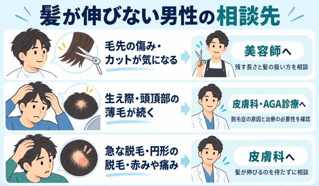髪が伸びない男性の相談先 図解