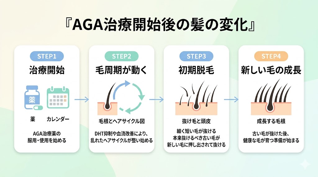 aga 初期脱毛‗髪の変化